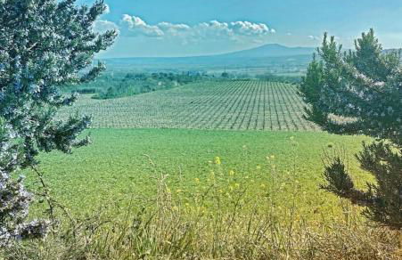 Podere Macee Casavacanza - Foto 4