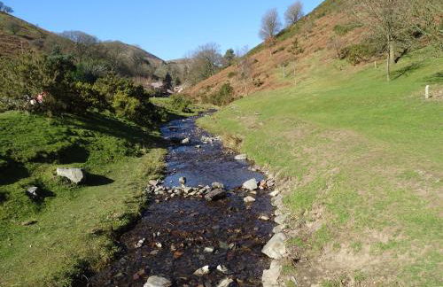 Lucea Cottage - Foto 39