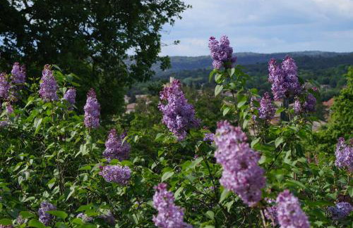 Les Lilas des Chênes, Provence proche d'Orange, Gorges de l'Ardèche, Mont Ventoux - Photo 51