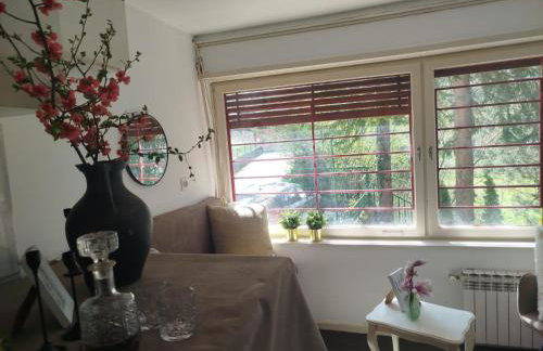 Samobor holiday villa - Samoborski ljetnikovac - Photo 42