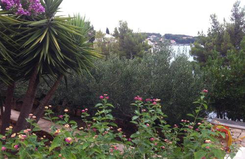 Villa Katja - Photo 70