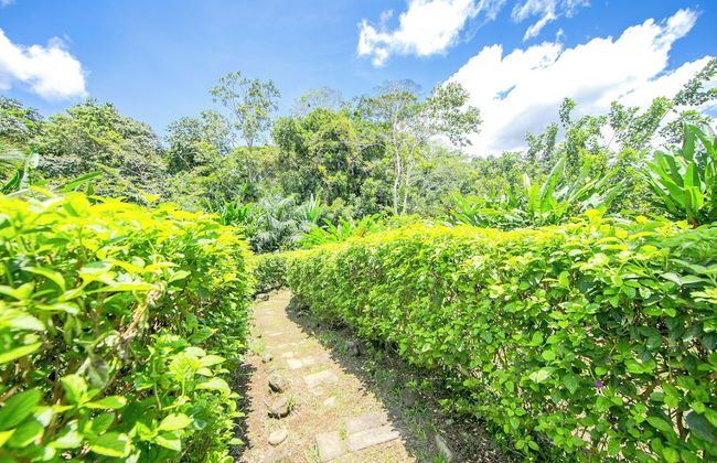 La Fortuna - Foto 38