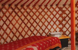 Glamping yurt at nature retreat in Sequoia NForest - Photo 37