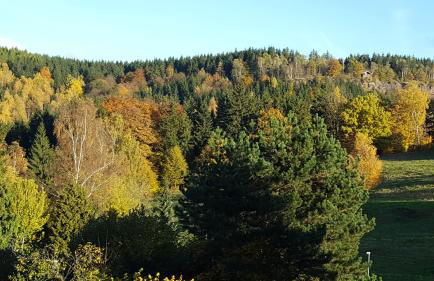 Moderne Komfortwohnung im Kurort am Rennsteig - Foto 22
