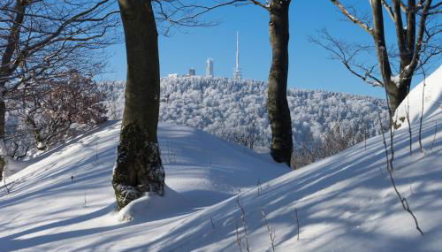 Tom's Ferienappartements Appartment 2 - Foto 4