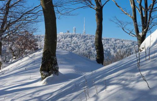 Tom´s Ferienappartements - Photo 13