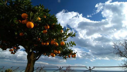 Casa Pazzi Dimora d'Epoca - Foto 1
