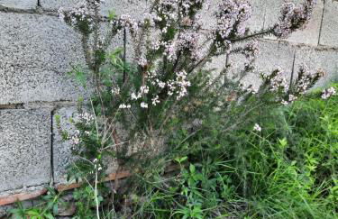 GAUDIR LA MAR - Casa en Tossal Gros La Font d'en Carros - Foto 39