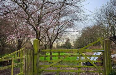 Barn in Happisburgh sleeping 2 and welcoming 5 dogs - close to beach! - Photo 13