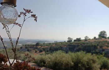 Tselekos House Old renovated stone house crete - Photo 42