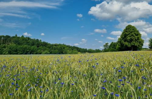 Ferienwohnung Schindler - Foto 18