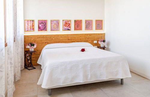 L'Abbraccio della Vigna - Alloggio Agrituristico - Foto 24