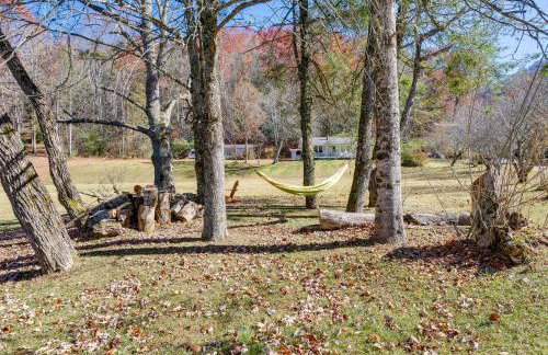 Pet-Friendly Topton Home with Patio, Deck and Views! - Foto 26