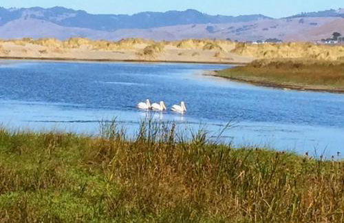 Fishermans Cottage - Sand Dunes Walk to Ocean - Foto 35