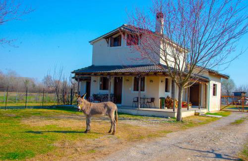 Το σπίτι στο αγρόκτημα - Foto 2