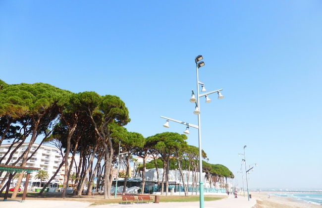 Apartamento M&C Les Pines - Foto 33