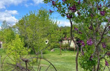 Nad Isągiem - Photo 23