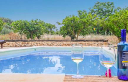 Huerta Valleciruelo Sanlúcar La Mayor by Ruralidays - Foto 2