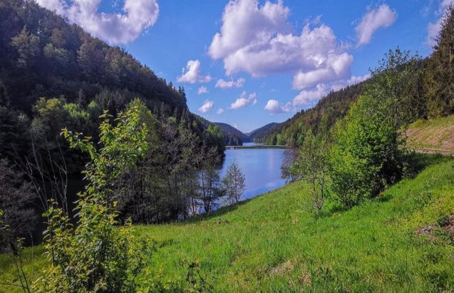 Small and Cozy Apartment in Frauenwald near Forest - Foto 40