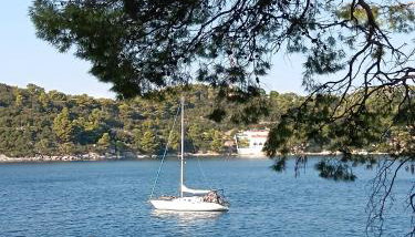 Studio apartment Dragana - Foto 3