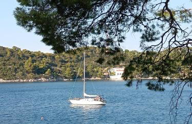 Studio apartment Dragana - Foto 3