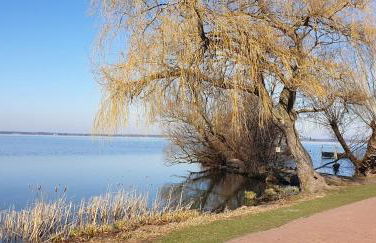 Ferienwohnung Hellmann - Foto 33