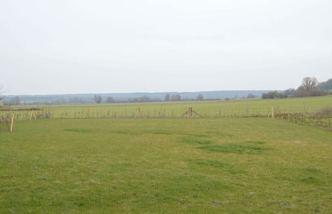 Holiday Home in Beauraing With Fenced Garden - Foto 38