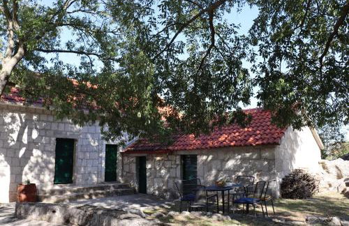 Luxury stone apartment Matijević - Photo 9