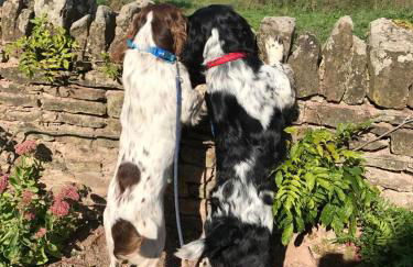 Thatch Close Cottages - Foto 5