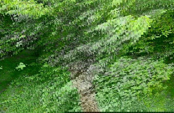 St Albans Stylish Suite With Kitchenette - Foto 36