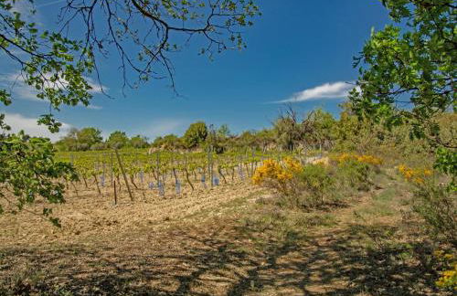 Villa Cantirane - Foto 57