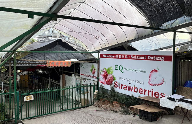 Palas Horizon Apartment - Foto 30