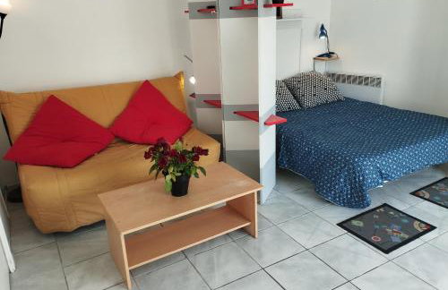 Grand studio sur jardin Nantes Beaujoire B - Foto 2