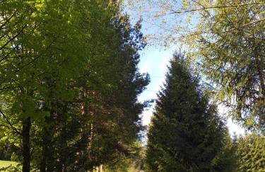 Bieszczadzki Bohater Domki 533-502-137 - Photo 71