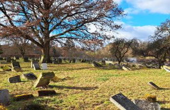 FeWo Hafner "Zuhause mit Ausblick" - Foto 28