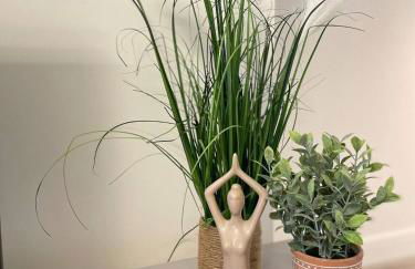 Exclusive 1 and 2 Bedroom Flats only 0,5 miles aw - Foto 25