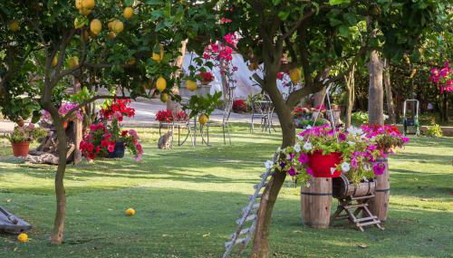 Giardino di Nonno Lucio - Surrounded by Lemon Tree - Foto 5, Garden