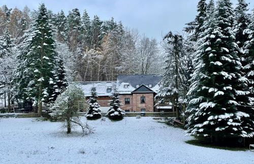 Erholung im Wald - mit Schwimmbad - Foto 26