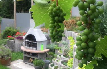 Ferienwohnungen Traubeneiche - Foto 37