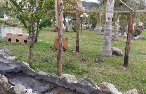 agriturismo heaven - Photo 27