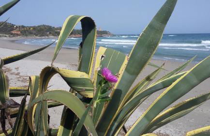 La casetta celeste - Foto 14