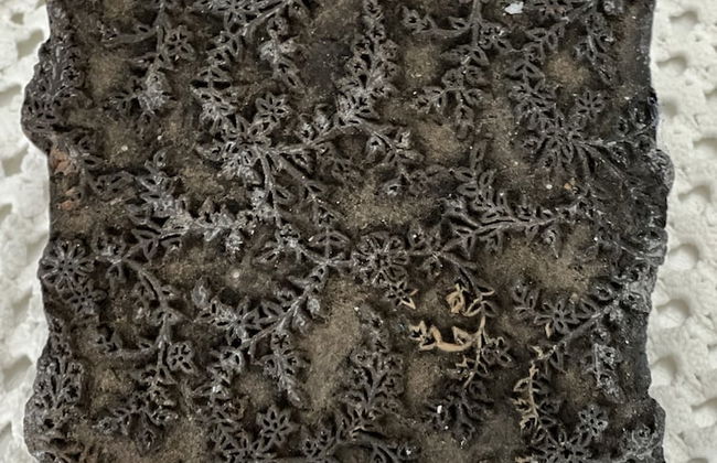 Vila Alice Bled - Adults only - Foto 4