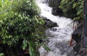 Casa do Norte - Foto 43