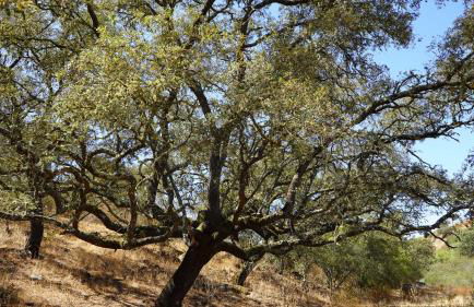 Agroturismo Xistos - Foto 56