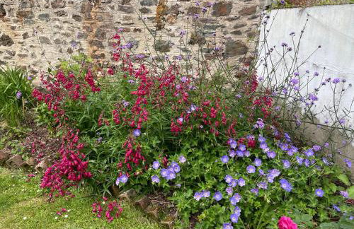 Penarwyn House - Photo 33