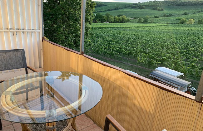 Oppenheim Ferienwohnung Martin - Photo 24