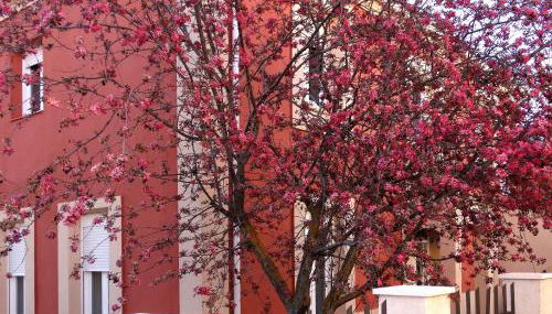 Casa Rural La Rosaleda de Pajares - Foto 4