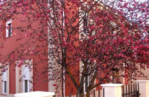 Casa Rural La Rosaleda de Pajares - Foto 4