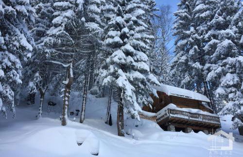 "Mazot de la FIS" - Mazot de Charme avec Vue Imprenable - Foto 5