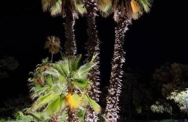 La Trinacria - Foto 20